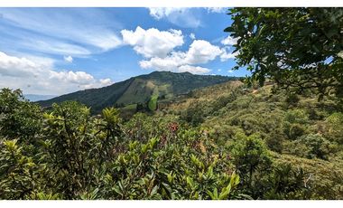 Venta O Renta Finca Independiente Alto De La Virgen Guarne