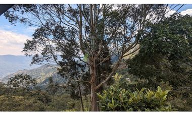 Venta O Renta Finca Independiente Alto De La Virgen Guarne