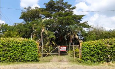 Lote terreno de 30.000 m2 en venta Tienda Nueva Tablones Palmira Valle