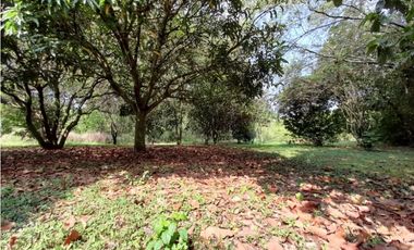 Lote terreno de 30.000 m2 en venta Tienda Nueva Tablones Palmira Valle