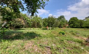 Lote terreno de 30.000 m2 en venta Tienda Nueva Tablones Palmira Valle