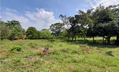 Lote terreno de 30.000 m2 en venta Tienda Nueva Tablones Palmira Valle