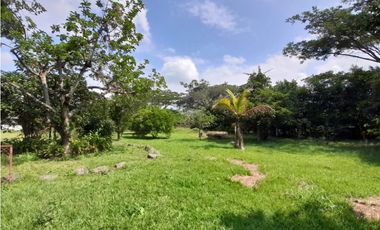 Lote terreno de 30.000 m2 en venta Tienda Nueva Tablones Palmira Valle