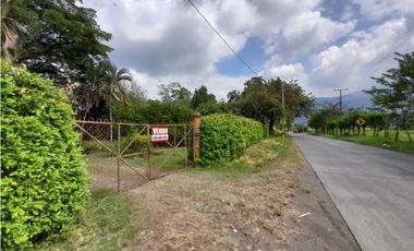 Lote terreno de 30.000 m2 en venta Tienda Nueva Tablones Palmira Valle