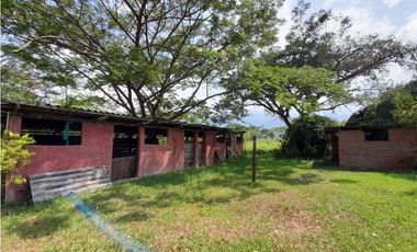 Lote terreno de 30.000 m2 en venta Tienda Nueva Tablones Palmira Valle