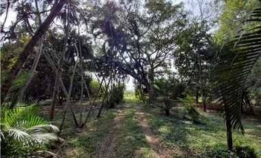 Lote terreno de 30.000 m2 en venta Tienda Nueva Tablones Palmira Valle