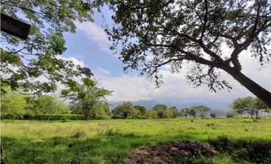 Lote terreno de 30.000 m2 en venta Tienda Nueva Tablones Palmira Valle
