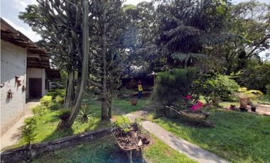 Lote terreno de 30.000 m2 en venta Tienda Nueva Tablones Palmira Valle