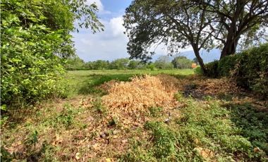 Lote terreno de 30.000 m2 en venta Tienda Nueva Tablones Palmira Valle