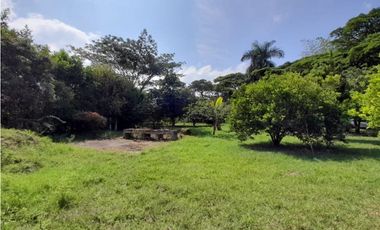 Lote terreno de 30.000 m2 en venta Tienda Nueva Tablones Palmira Valle