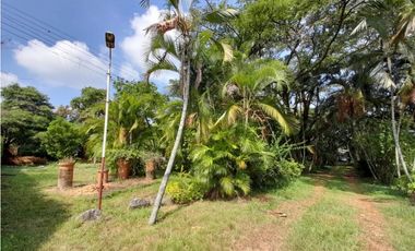 Lote terreno de 30.000 m2 en venta Tienda Nueva Tablones Palmira Valle