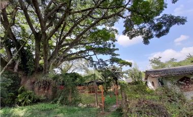Lote terreno de 30.000 m2 en venta Tienda Nueva Tablones Palmira Valle