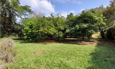 Lote terreno de 30.000 m2 en venta Tienda Nueva Tablones Palmira Valle