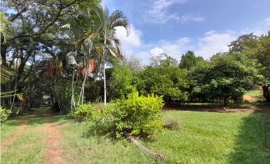 Lote terreno de 30.000 m2 en venta Tienda Nueva Tablones Palmira Valle