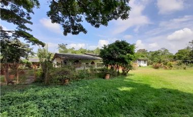 Lote terreno de 30.000 m2 en venta Tienda Nueva Tablones Palmira Valle