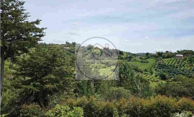 Venta de Lote en San Vicente - Vereda La Enea