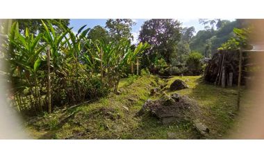 Finca Con rboles Frutales A 1 Hora De Bogotá
