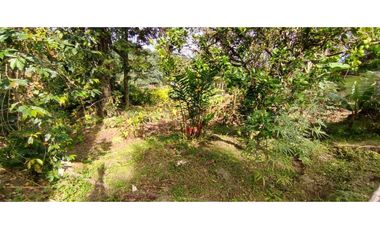 Finca Con rboles Frutales A 1 Hora De Bogotá