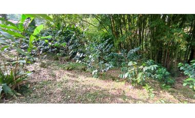 Finca Con rboles Frutales A 1 Hora De Bogotá