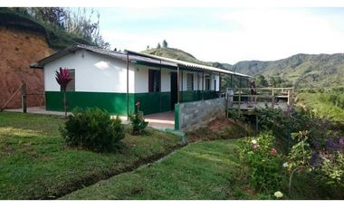 Vendo finca en el peñol con entrada al embalse