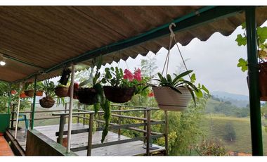 Vendo finca en el peñol con entrada al embalse