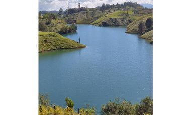 Vendo finca en el peñol con entrada al embalse