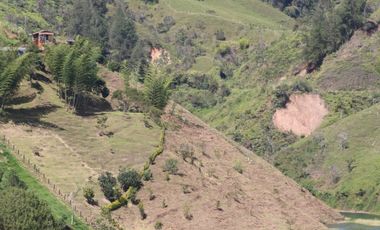 Vendo finca en el peñol con entrada al embalse