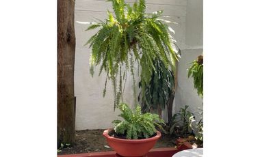 Hermosa Casa Remodelada en Rodadero Reservado - 005