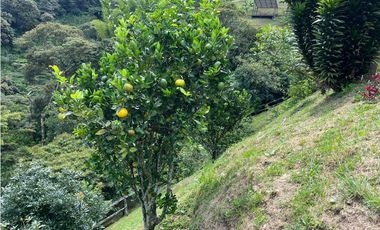 Casa Campestre En Parcelación Variante Caldas (La Estrella Ant)