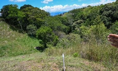 Se Vende Lote Condominio Cerrado Ciudad Cerritos II Pereira