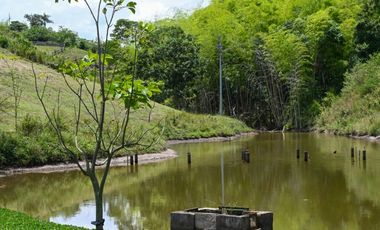 Se Vende Lote Condominio Cerrado Ciudad Cerritos II Pereira