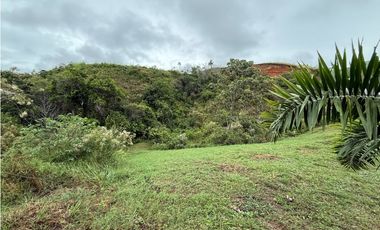 Se Vende Lote Condominio Cerrado Ciudad Cerritos II Pereira