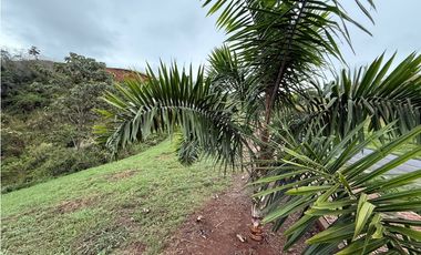 Se Vende Lote Condominio Cerrado Ciudad Cerritos II Pereira