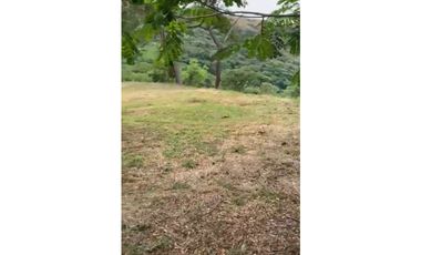 Lote en venta - San Jerónimo