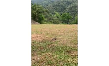 Lote en venta - San Jerónimo