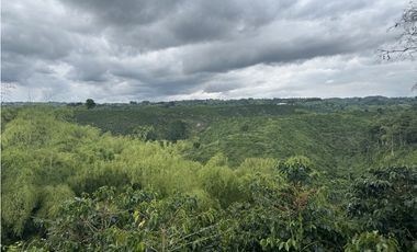 Se Vende Finca Cafetera En Alcala Norte Del Valle Limites Con Quindio