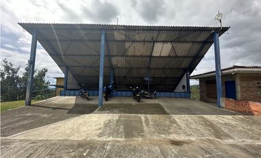 Se Vende Finca Cafetera En Alcala Norte Del Valle Limites Con Quindio