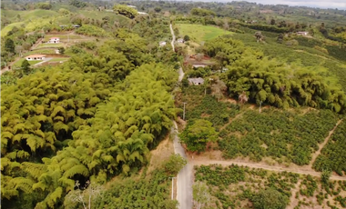 Se Vende Finca Cafetera En Alcala Norte Del Valle Limites Con Quindio