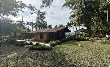 Se Vende Finca Cafetera En Alcala Norte Del Valle Limites Con Quindio