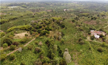Se Vende Finca Cafetera En Alcala Norte Del Valle Limites Con Quindio