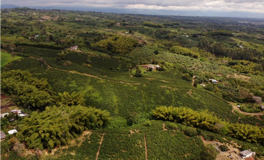 Se Vende Finca Cafetera En Alcala Norte Del Valle Limites Con Quindio