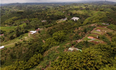 Se Vende Finca Cafetera En Alcala Norte Del Valle Limites Con Quindio