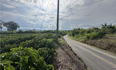 Se Vende Finca Cafetera En Alcala Norte Del Valle Limites Con Quindio
