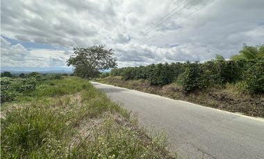 Se Vende Finca Cafetera En Alcala Norte Del Valle Limites Con Quindio
