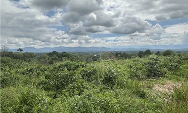 Se Vende Finca Cafetera En Alcala Norte Del Valle Limites Con Quindio