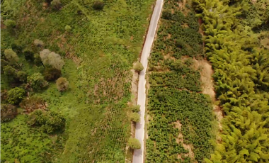 Se Vende Finca Cafetera En Alcala Norte Del Valle Limites Con Quindio