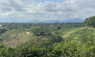Se Vende Finca Cafetera En Alcala Norte Del Valle Limites Con Quindio