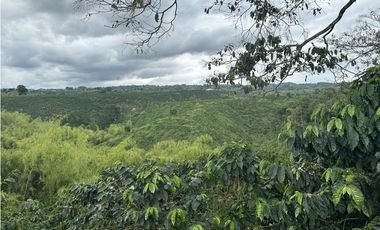 Se Vende Finca Cafetera En Alcala Norte Del Valle Limites Con Quindio