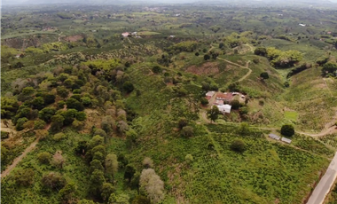 Se Vende Finca Cafetera En Alcala Norte Del Valle Limites Con Quindio
