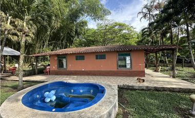 Se Vende Finca Cafetera En Alcala Norte Del Valle Limites Con Quindio